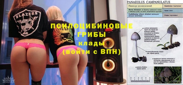 трава Лагань